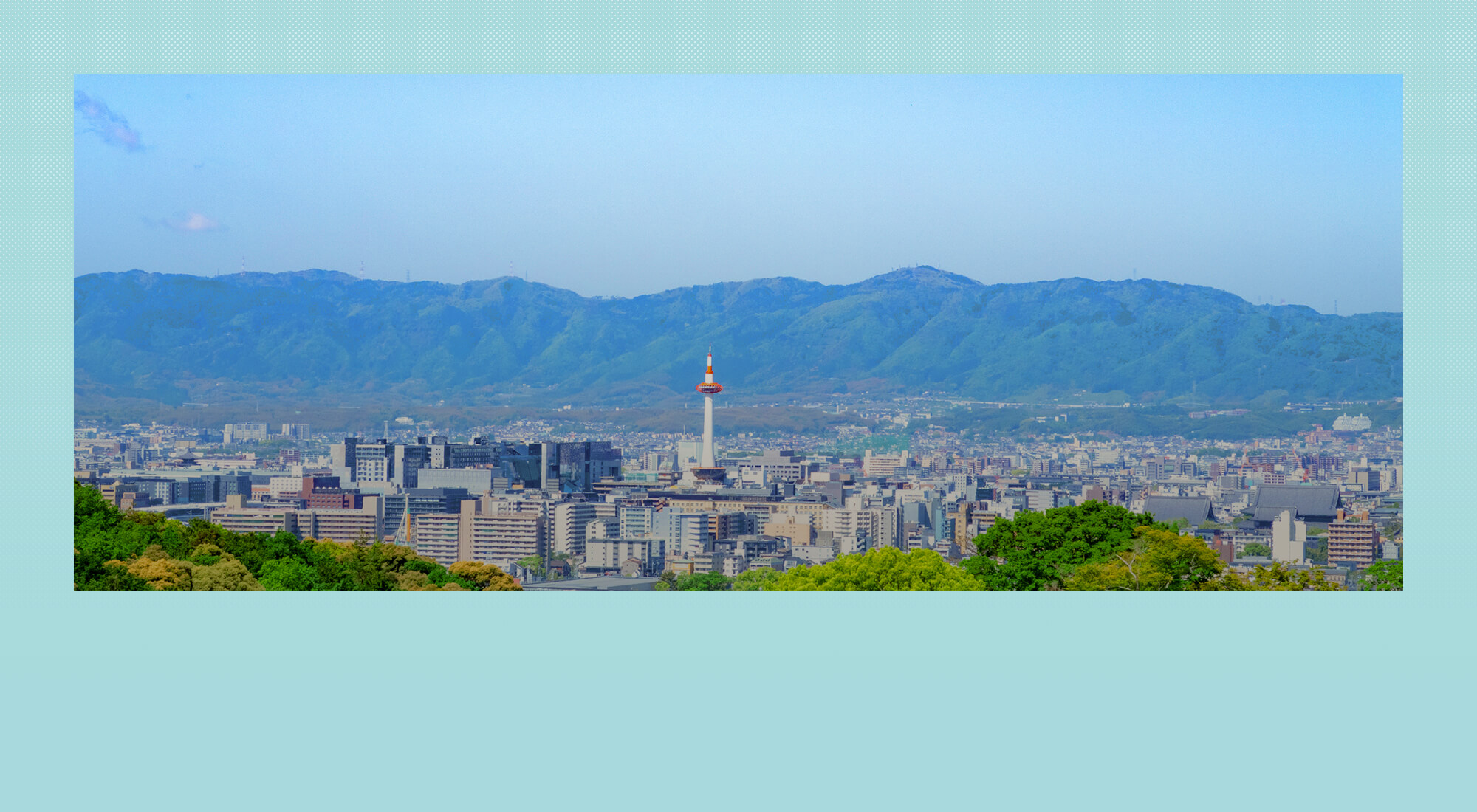 株式会社フィーポ